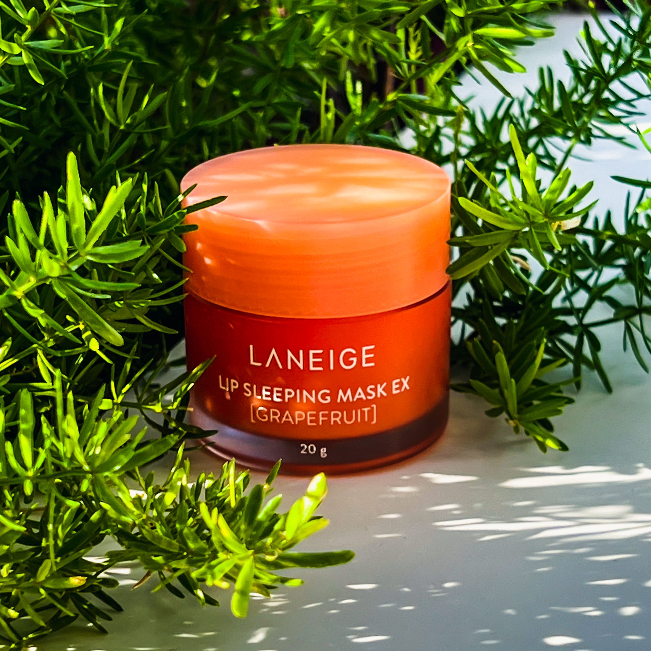 Laneige Lip Sleeping Mask